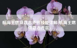 航海王燃烧意志乔巴技能详解(航海王燃烧意志乔兹)