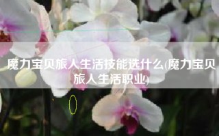 魔力宝贝旅人生活技能选什么(魔力宝贝旅人生活职业)