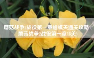 蘑菇战争2战役第一章蛤蟆关通关攻略 (蘑菇战争2战役第一章18关)