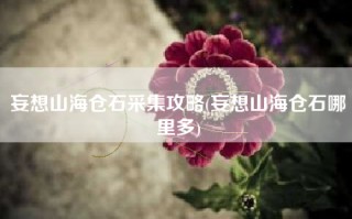 妄想山海仓石采集攻略(妄想山海仓石哪里多)
