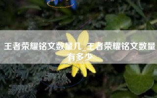 王者荣耀铭文数量几_王者荣耀铭文数量有多少