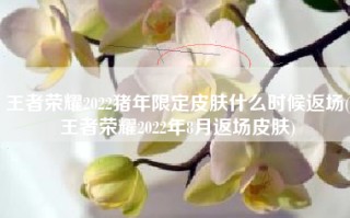 王者荣耀2022猪年限定皮肤什么时候返场(王者荣耀2022年8月返场皮肤)