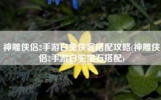 神雕侠侣2手游白兔侠客搭配攻略(神雕侠侣2手游白驼宝石搭配)