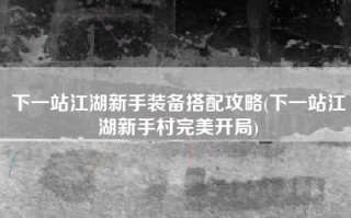 下一站江湖新手装备搭配攻略(下一站江湖新手村完美开局)