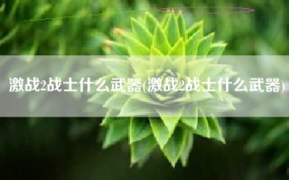激战2战士什么武器(激战2战士什么武器)