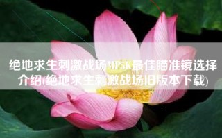 绝地求生刺激战场MP5K最佳瞄准镜选择介绍(绝地求生刺激战场旧版本下载)