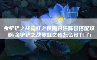 金铲铲之战霓虹之夜黑白法阵容搭配攻略(金铲铲之战霓虹之夜怎么没有了)