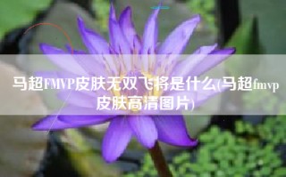 马超FMVP皮肤无双飞将是什么(马超fmvp皮肤高清图片)