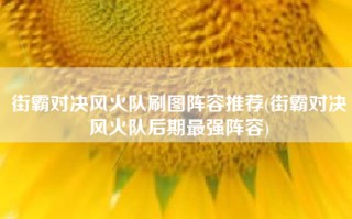 街霸对决风火队刷图阵容推荐(街霸对决风火队后期最强阵容)