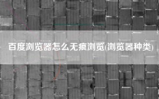 百度浏览器怎么无痕浏览(浏览器种类)