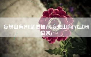 妄想山海PVE武器推荐(妄想山海PVE武器词条)