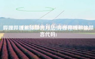 哔哩哔哩解除禁言方法(哔哩哔哩解除禁言代码)