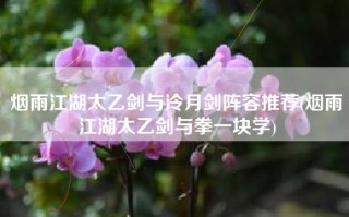 烟雨江湖太乙剑与泠月剑阵容推荐(烟雨江湖太乙剑与拳一块学)