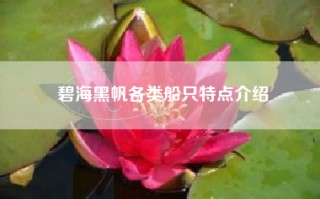 碧海黑帆各类船只特点介绍