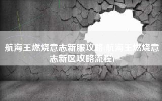 航海王燃烧意志新服攻略(航海王燃烧意志新区攻略流程)