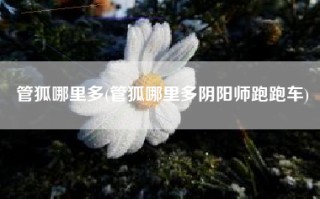 管狐哪里多(管狐哪里多阴阳师跑跑车)