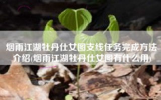 烟雨江湖牡丹仕女图支线任务完成方法介绍(烟雨江湖牡丹仕女图有什么用)