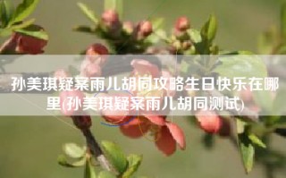 孙美琪疑案雨儿胡同攻略生日快乐在哪里(孙美琪疑案雨儿胡同测试)