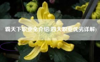 霸天下职业全介绍(四大职业优劣详解)