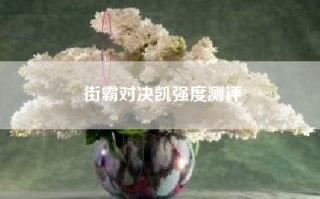 街霸对决凯强度测评