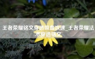 王者荣耀铭文穿透吸血攻速_王者荣耀法术穿透铭文