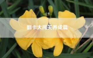 翻卡大闯关养成篇