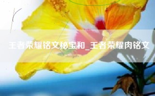 王者荣耀铭文秘宝和_王者荣耀肉铭文