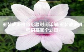 重装战姬机师招募时间详解(重装战姬机师招募哪个划算)