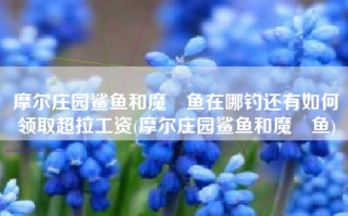 摩尔庄园鲨鱼和魔鳉鱼在哪钓还有如何领取超拉工资(摩尔庄园鲨鱼和魔鳉鱼)