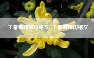 王者荣耀阿电铭文_王者荣耀肉铭文