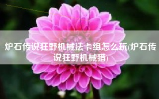 炉石传说狂野机械法卡组怎么玩(炉石传说狂野机械猎)