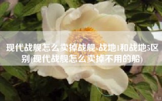 现代战舰怎么卖掉战舰-战地1和战地5区别(现代战舰怎么卖掉不用的船)