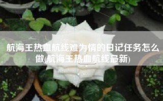航海王热血航线难为情的日记任务怎么做(航海王热血航线最新)