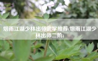 烟雨江湖少林出师武学推荐(烟雨江湖少林出师二阶)