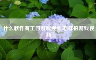 什么软件有工口游戏视频,怎样拍游戏视频