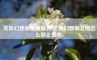 龙族幻想朋友圈留言(龙族幻想朋友圈怎么禁止留言)
