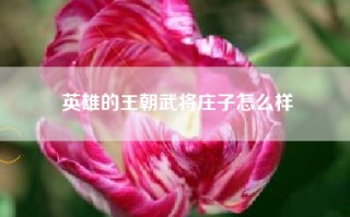 英雄的王朝武将庄子怎么样