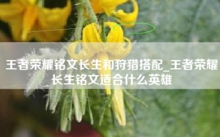王者荣耀铭文长生和狩猎搭配_王者荣耀长生铭文适合什么英雄