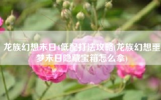 龙族幻想末日4低配打法攻略(龙族幻想噩梦末日隐藏宝箱怎么拿)