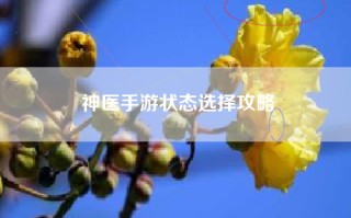 神医手游状态选择攻略