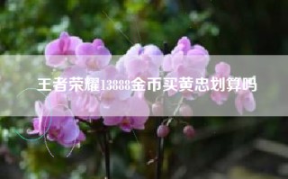 王者荣耀13888金币买黄忠划算吗