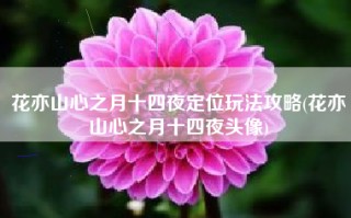 花亦山心之月十四夜定位玩法攻略(花亦山心之月十四夜头像)