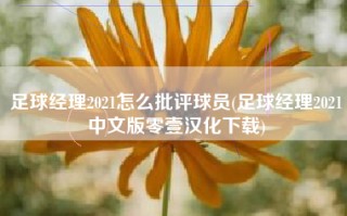 足球经理2021怎么批评球员(足球经理2021中文版零壹汉化下载)