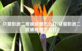 只狼影逝二度破戒僧怎么打(只狼影逝二度破戒僧怎么打)