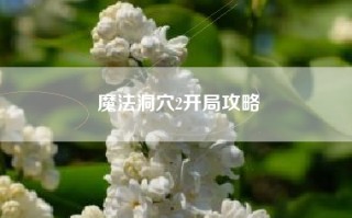 魔法洞穴2开局攻略