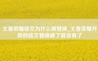 王者荣耀铭文为什么被替换_王者荣耀升级的铭文替换掉了就没有了