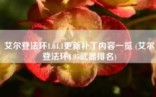 艾尔登法环1.04.1更新补丁内容一览 (艾尔登法环1.05武器排名)