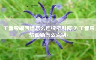 王者荣耀西施怎么连续牵引两次(王者荣耀西施怎么克制)