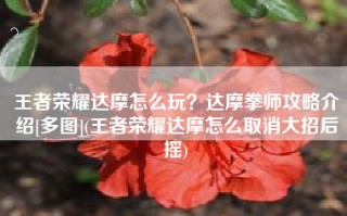 王者荣耀达摩怎么玩？达摩拳师攻略介绍[多图](王者荣耀达摩怎么取消大招后摇)