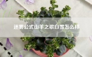 迷雾公式山羊之歌白雪怎么样